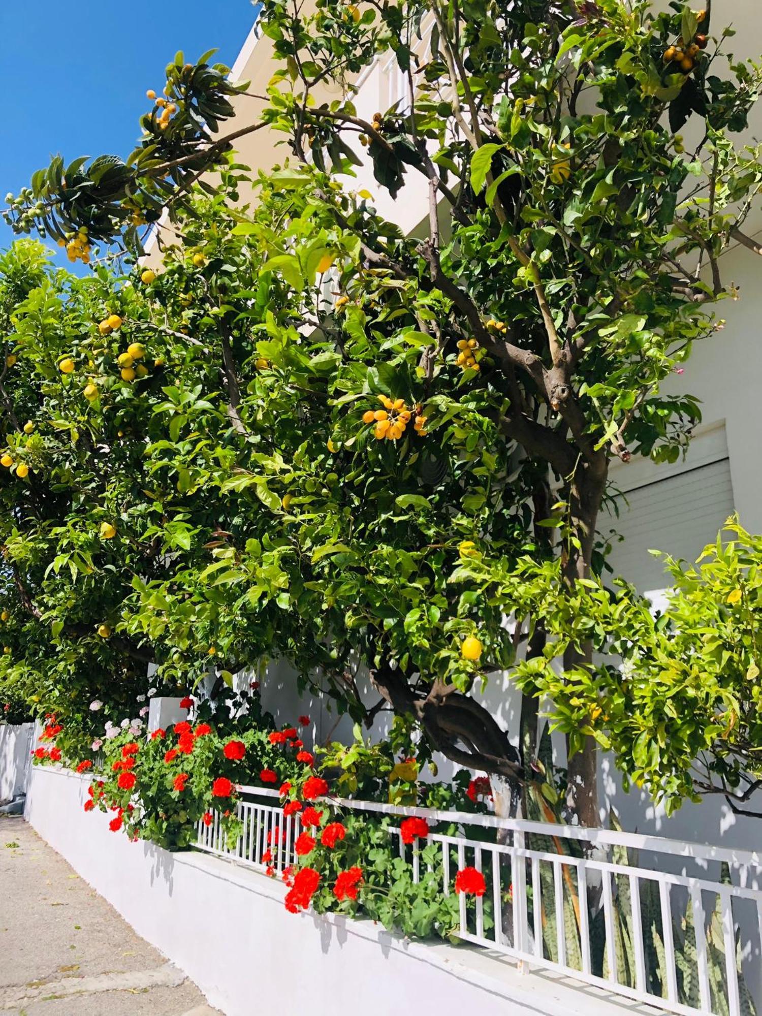 Villa Lemon Tree'S House Kalavárda Exterior foto